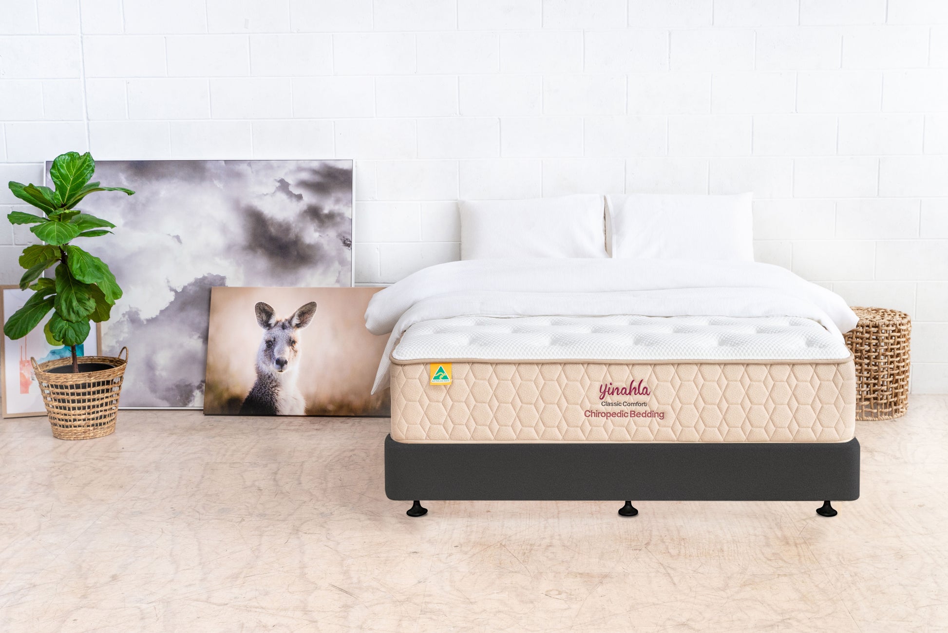 Minimalist bedroom with Yinahla classic comfort orthopedic mattress on black bed frame, plant, and wall art