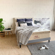 Yinahla Posture Cloud Gel Mattress & Bed Base Ensemble