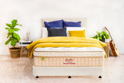 Modern bedroom with Premier Luxe chiropractic bed, yellow and blue pillows, green plants, and guitar