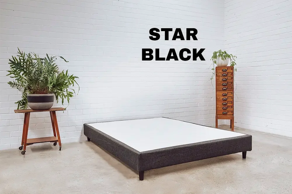 Chiropedic Bed Base